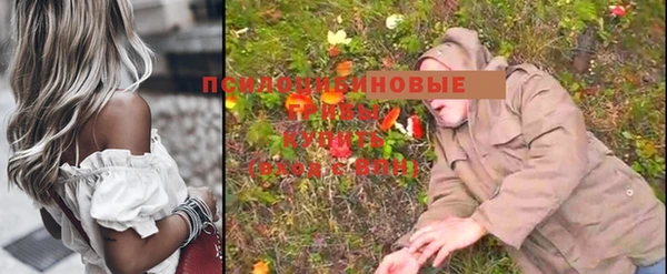 хмурый Медногорск